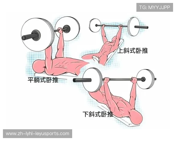 躺式杠铃训练器材详解与家庭布置建议